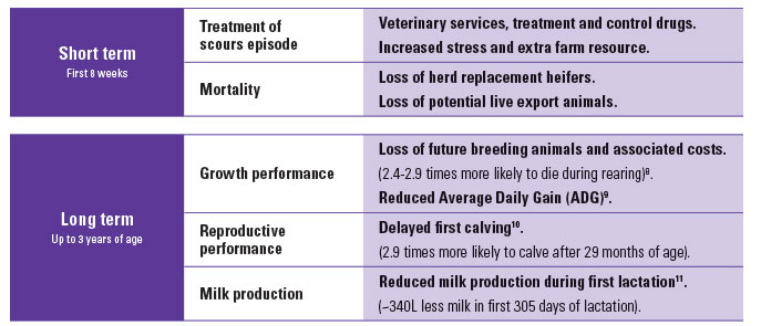 Short and long term health effects of calf scours