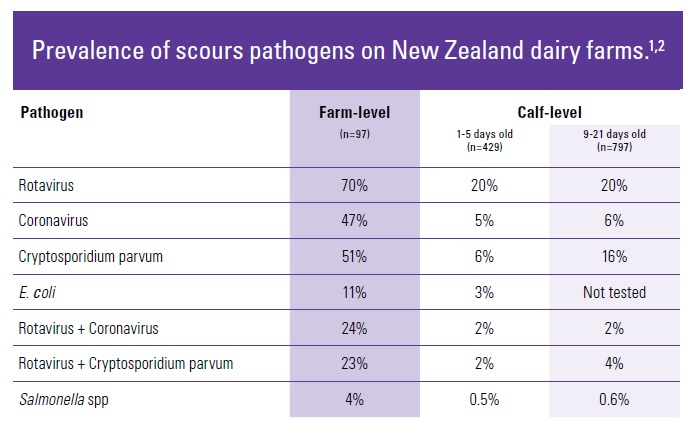 Prevalence of scours pathogens on New Zealand dairy farms