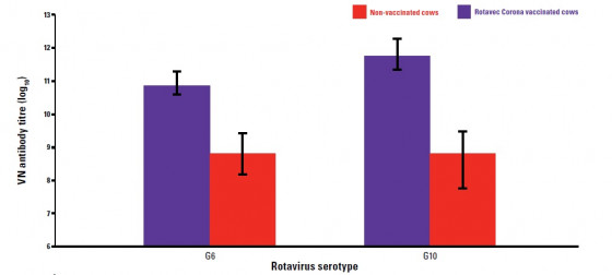 Research shows Rotavec Corona vaccination boosts levels of both G6 and G10 antibodies.