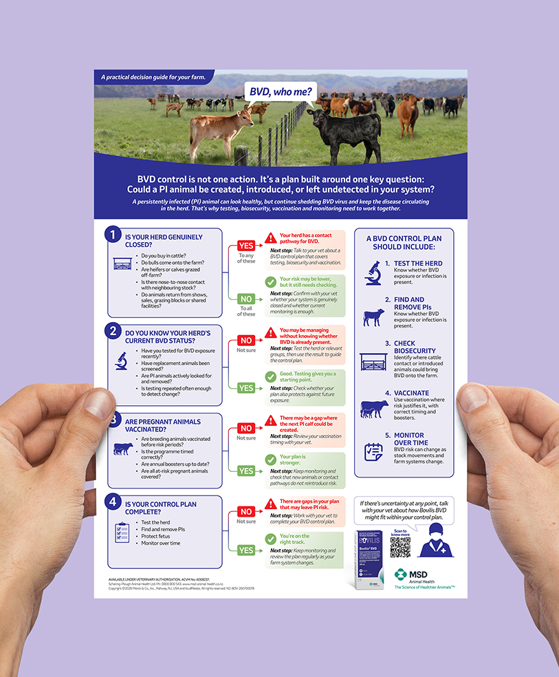 Farmer BVD decision guide