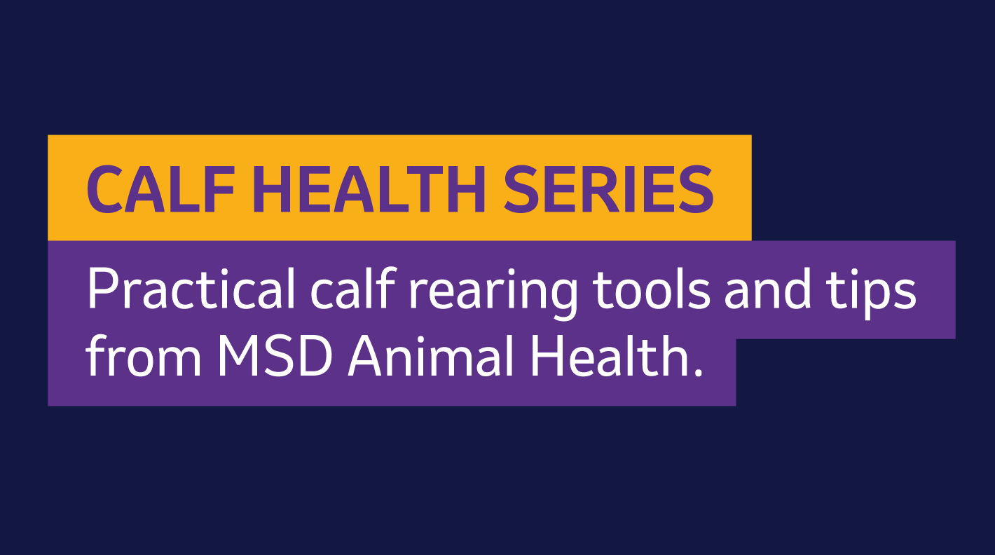 Calf Health Series